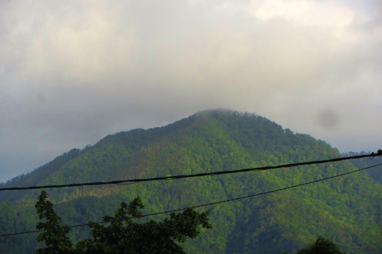 Or Bleu-Bungalow Volcan Soufriere-Vue Sur Mer Saint-Claude Buitenkant foto