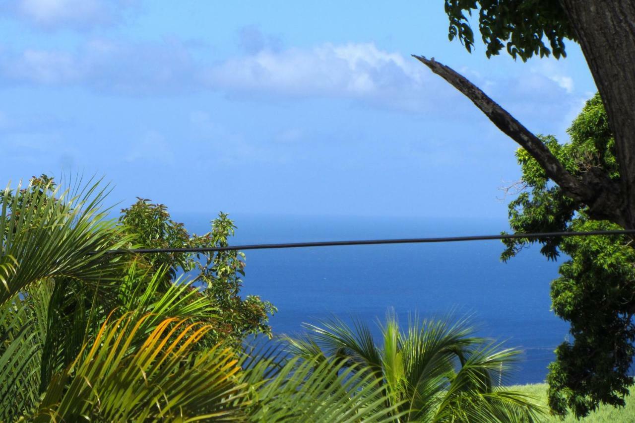 Or Bleu-Bungalow Volcan Soufriere-Vue Sur Mer Saint-Claude Buitenkant foto