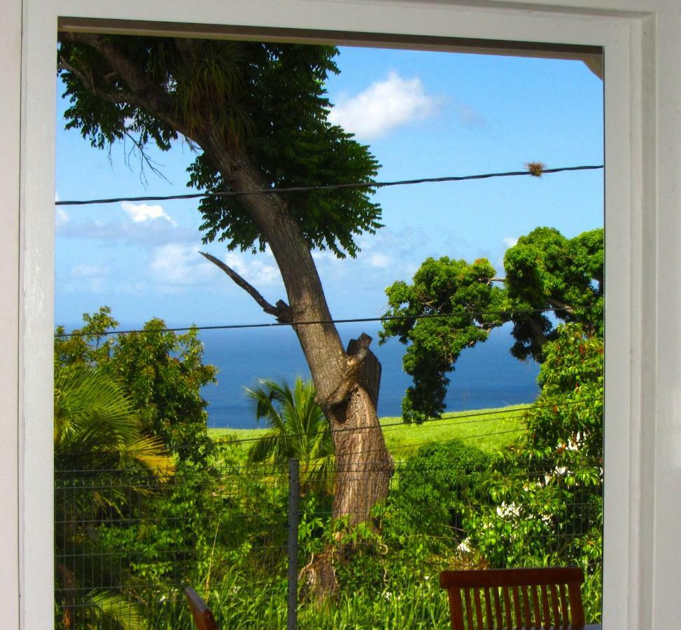 Or Bleu-Bungalow Volcan Soufriere-Vue Sur Mer Saint-Claude Buitenkant foto